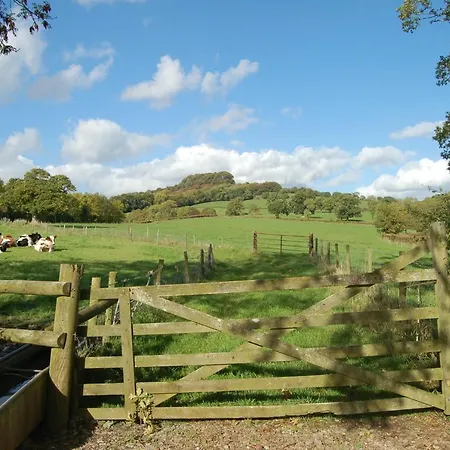 Villa Orchard Barn, Woodhayes à Honiton Chambre photo