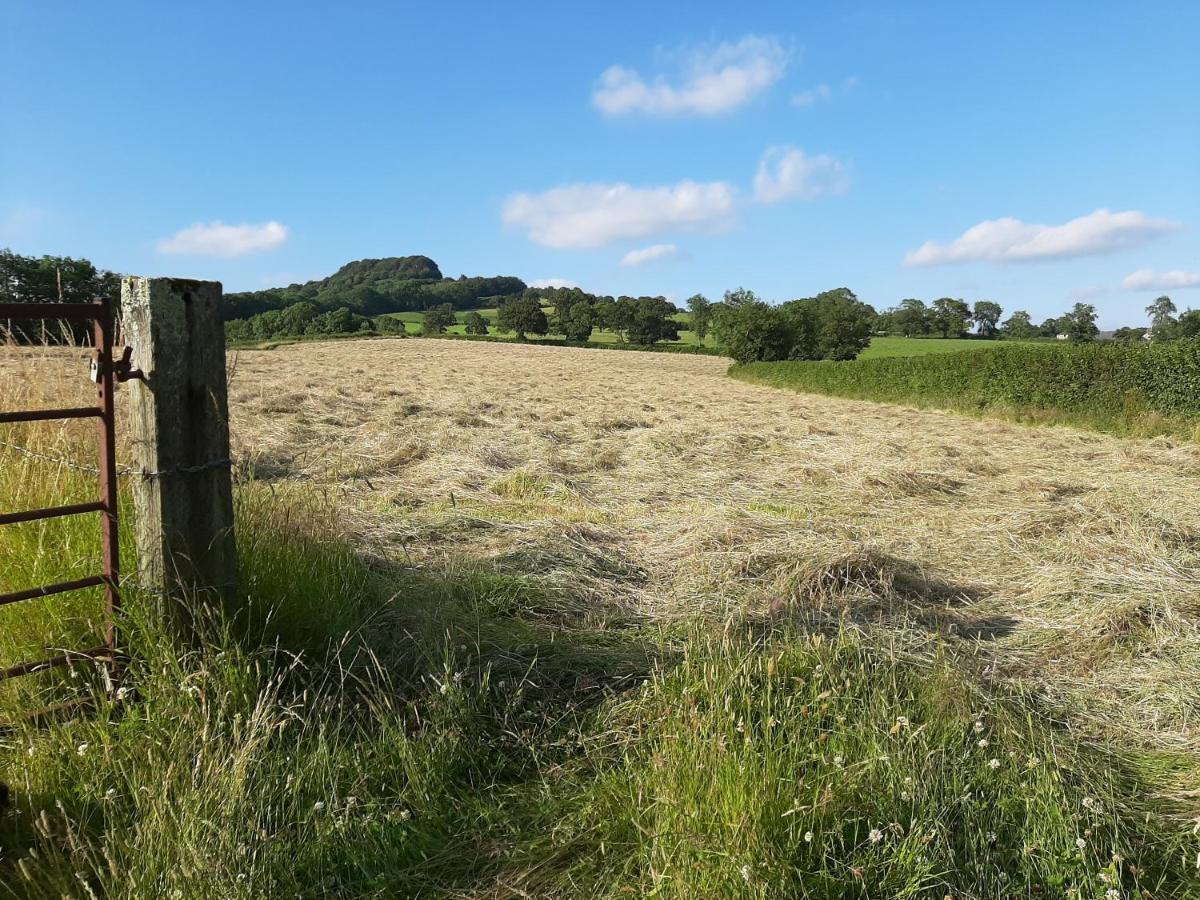 Holiday home Orchard Barn, Woodhayes *