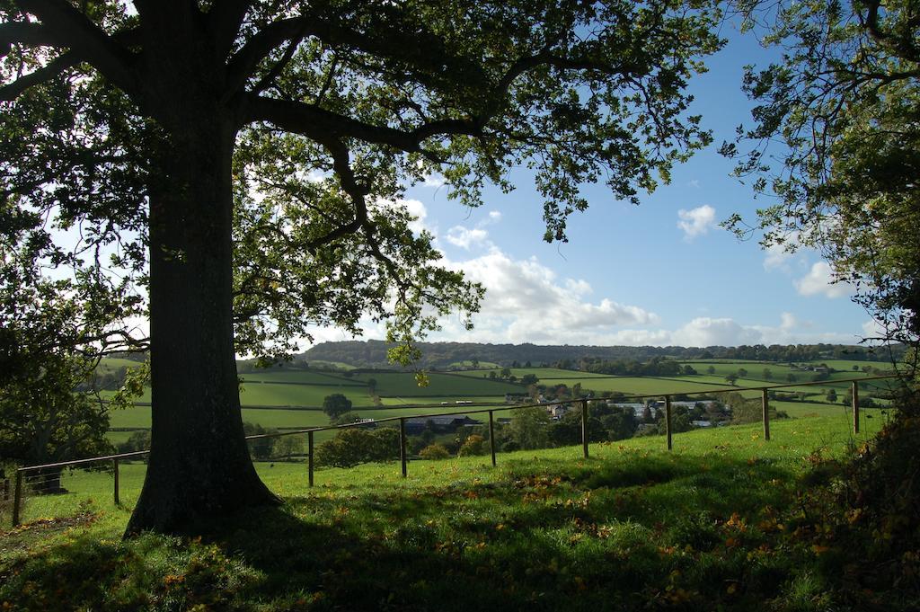 Holiday home Orchard Barn, Woodhayes Honiton
