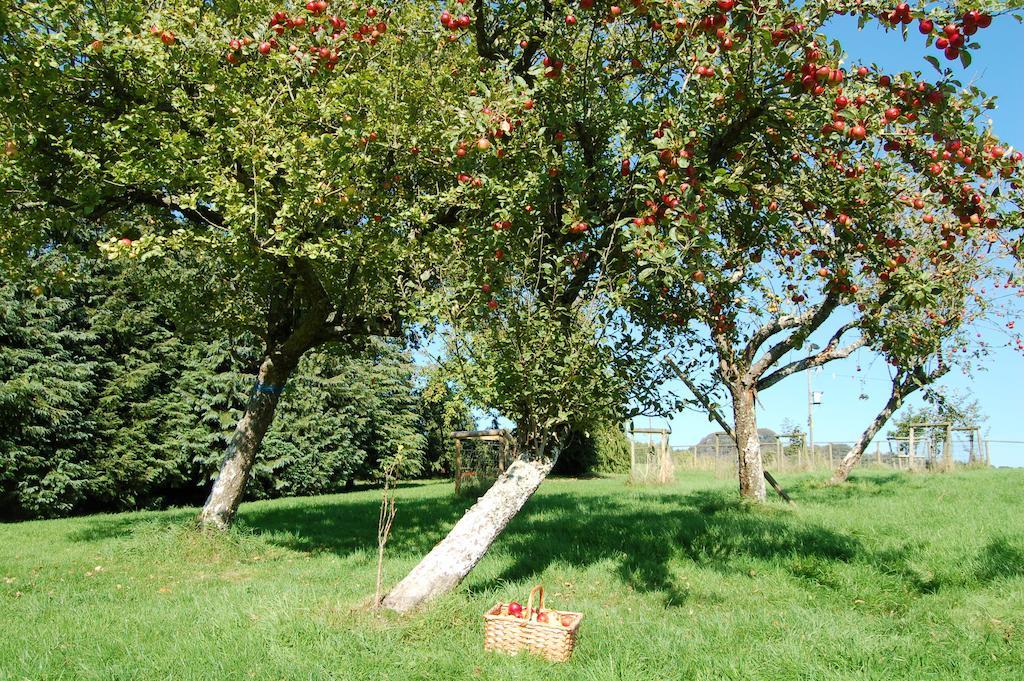 Orchard Barn, Woodhayes Holiday home Honiton