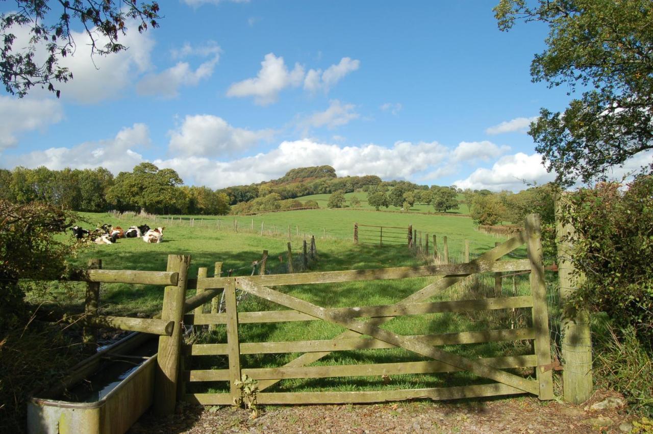 Holiday home Orchard Barn, Woodhayes